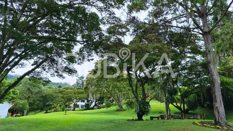 Finca en venta en El Saladito, Cali, 7653 m² · foto 24 de 24