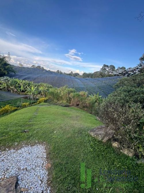 Finca en arriendo en El Carmen De Viboral, El Carmen de Viboral, 5500 m² · foto 14 de 20