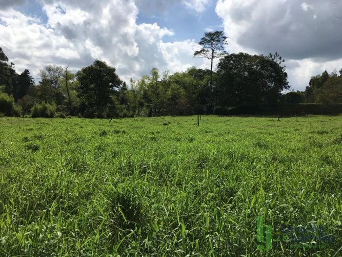 Lote en venta en Llano Grande, Rionegro, 4602 m² · foto 3 de 7