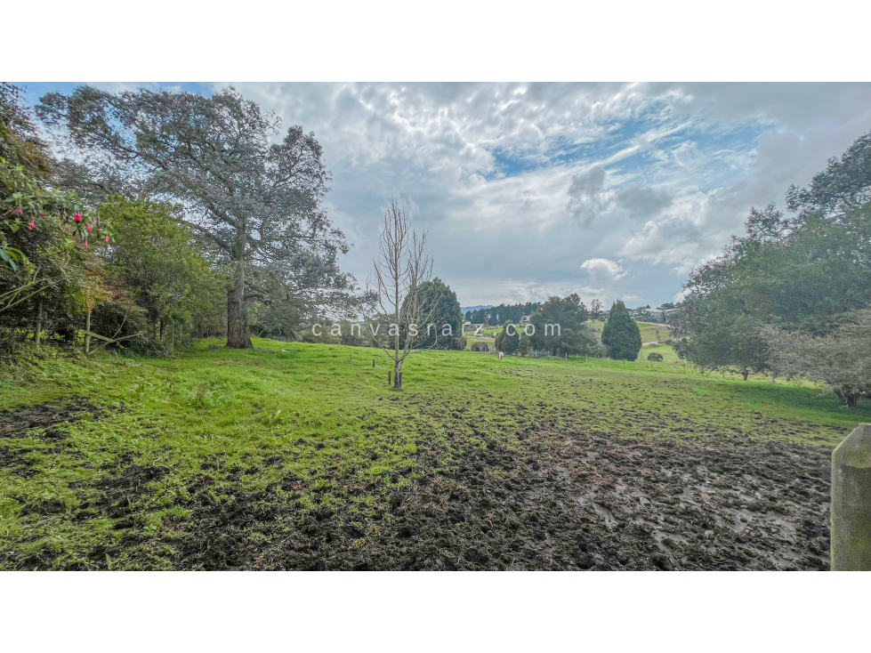 Land in Vía Las Palmas (5000 m²) for Sale