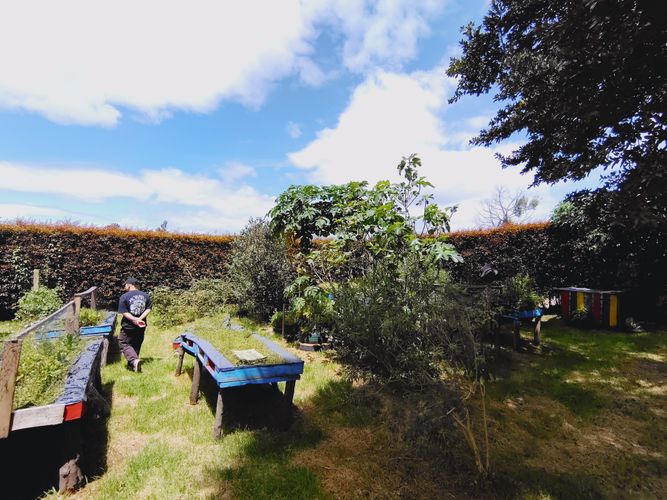Finca en venta en Fagua, Chía, 1200 m² · foto 6 de 11