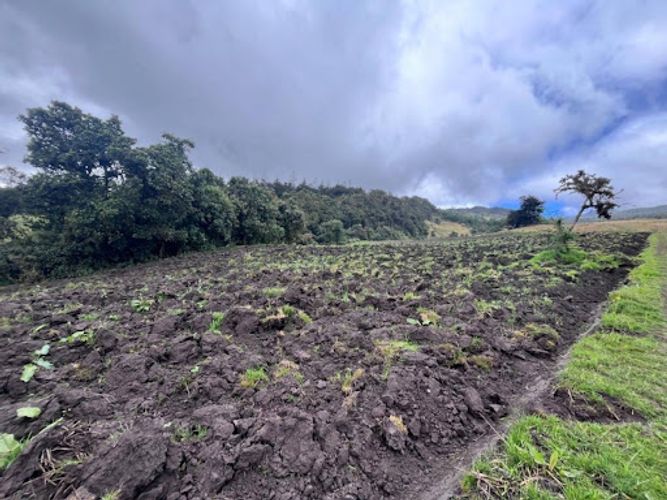 Lote en venta en El Volcan, La Calera, 2000 m² · foto 3 de 9