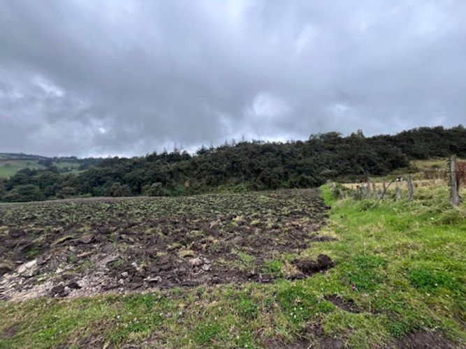 Lote en venta en El Volcan, La Calera, 2000 m² · foto 6 de 9