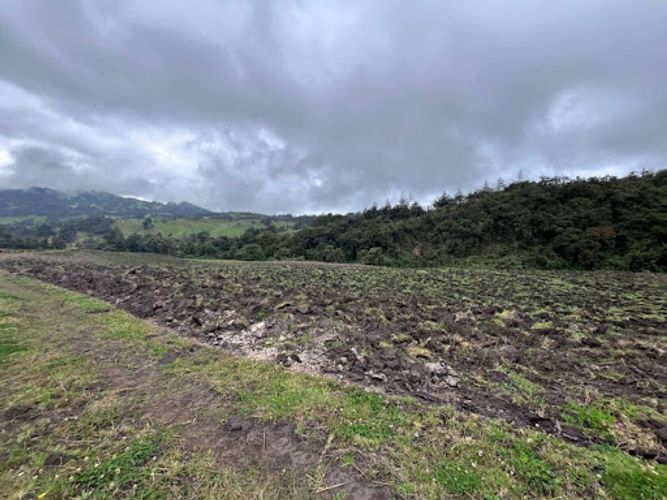 Lote en venta en El Volcan, La Calera, 2000 m² · foto 7 de 9