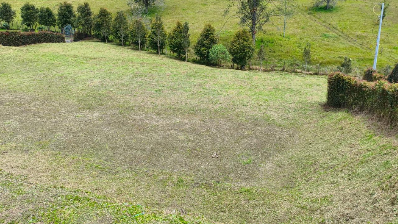 Land in Los salados (2296 m²) for Sale - 3
