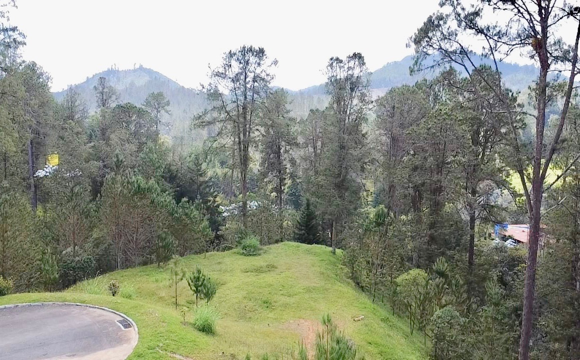 Land in Don diego for Sale - 4