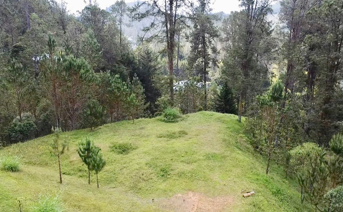 Land in Don diego for Sale - 2