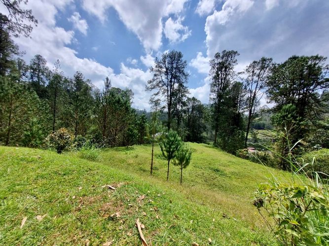 Lote en venta en Don Diego, El Retiro, 8234 m² · foto 9 de 14