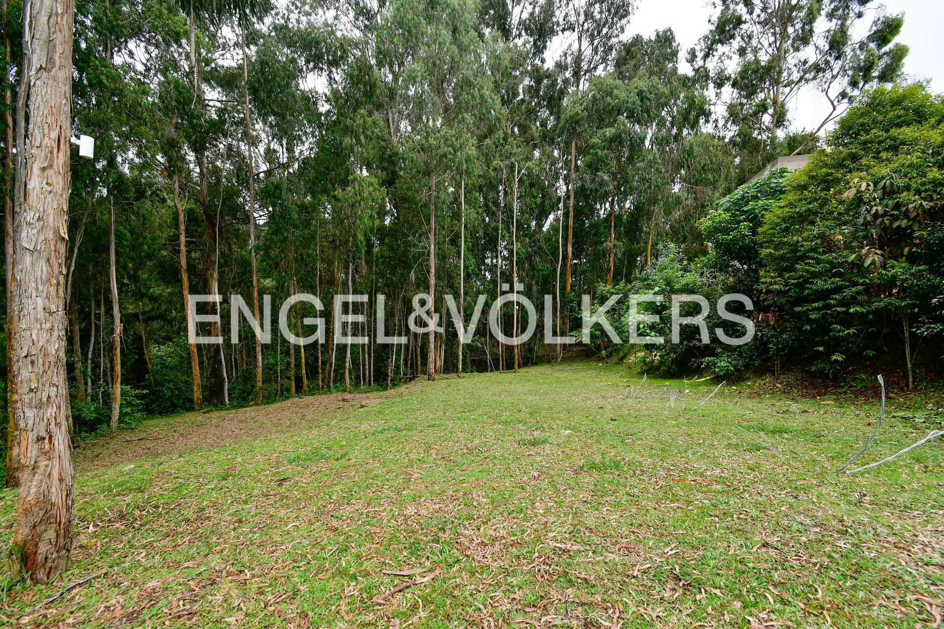 Land in Las palmas for Sale - 4