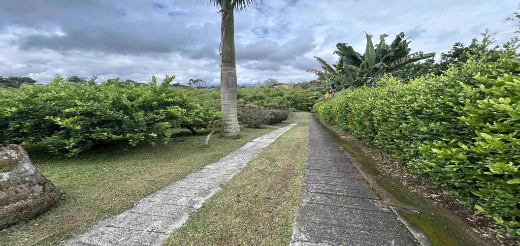Finca en venta en Morelia, Pereira, 50000 m² · foto 4 de 24