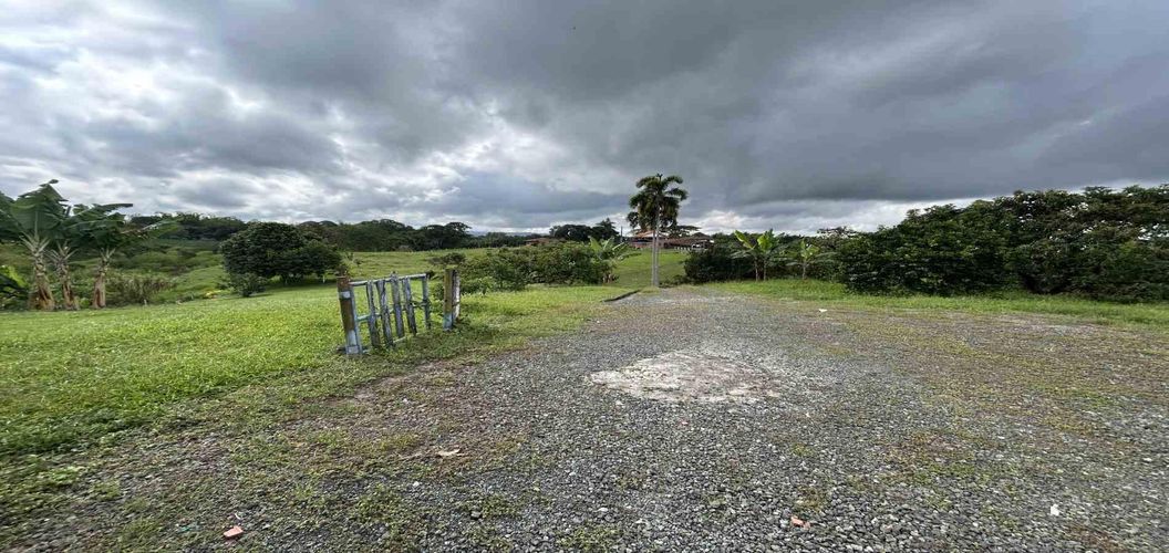 Finca en venta en Morelia, Pereira, 50000 m² · foto 6 de 24