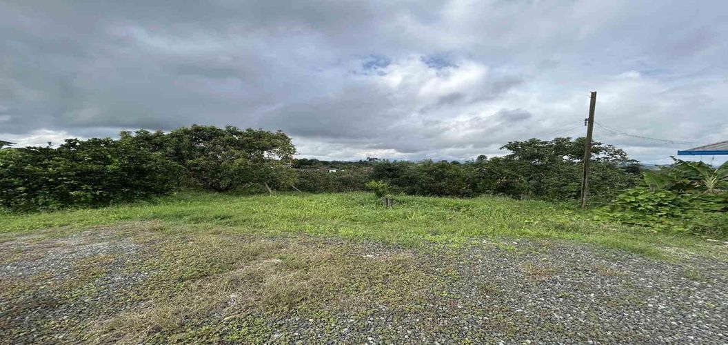 Finca en venta en Morelia, Pereira, 50000 m² · foto 7 de 24