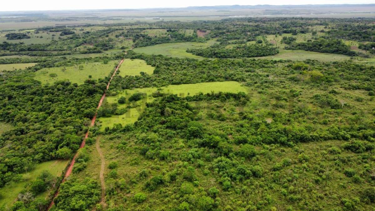 108 Hectáreas en Venta en Paraguarí – Gran Oportunidad Rural — foto 2