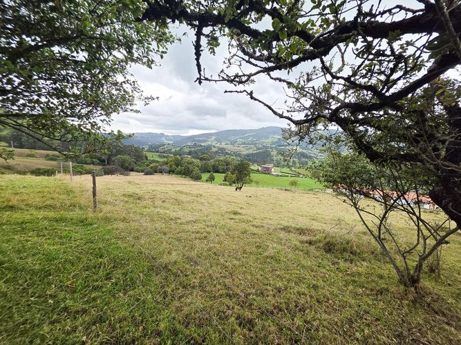 Lote en venta en San Jose Del Triunfo, La Calera, 28134 m² · foto 5 de 6