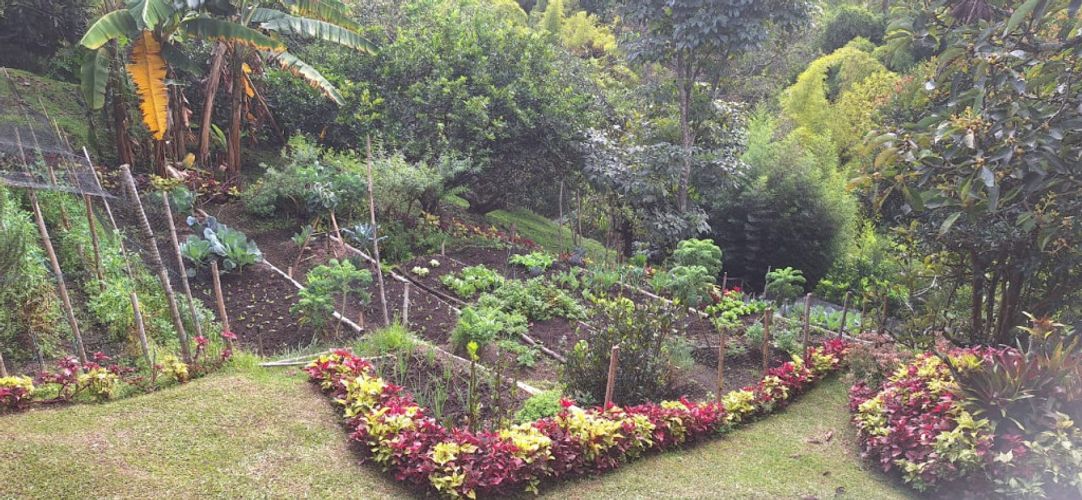 Finca en venta en Llano Grande, Rionegro, 300 m² · foto 18 de 24