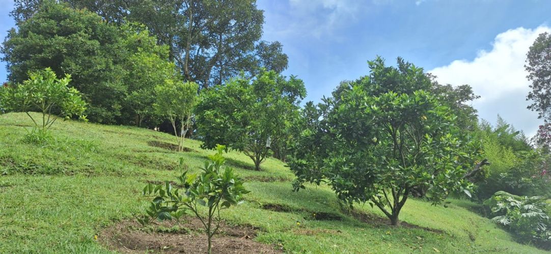 Finca en venta en Llano Grande, Rionegro, 300 m² · foto 19 de 24