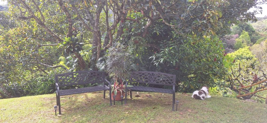 Finca en venta en Llano Grande, Rionegro, 300 m² · foto 20 de 24