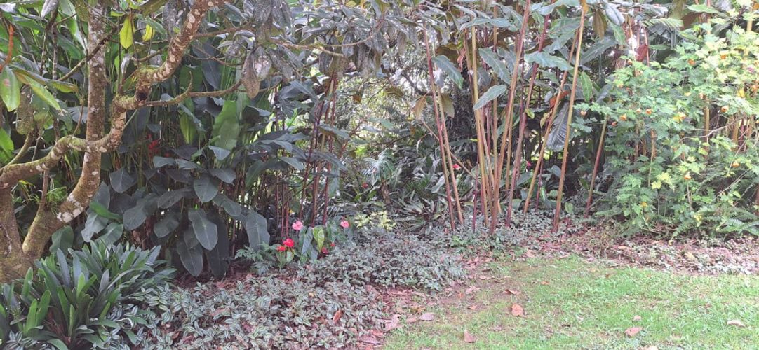 Finca en venta en Llano Grande, Rionegro, 300 m² · foto 22 de 24