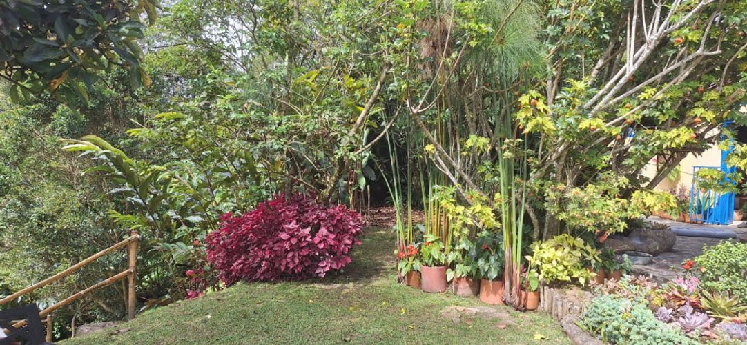 Finca en venta en Llano Grande, Rionegro, 300 m² · foto 23 de 24
