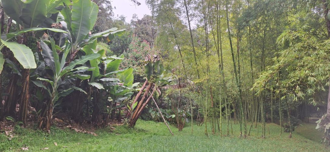 Finca en venta en Llano Grande, Rionegro, 300 m² · foto 24 de 24