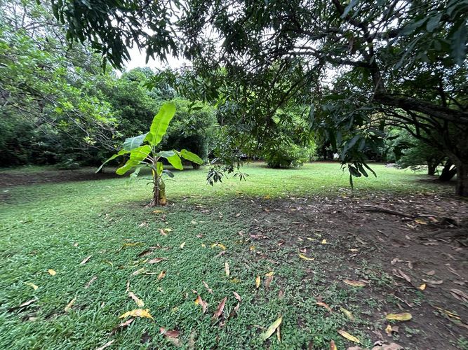 Casa de 6 alcobas en venta en Girardot, Ricaurte, 800 m² · foto 15 de 17
