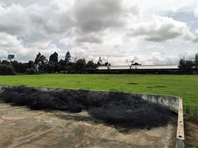 Lote en arriendo en Siberia, Cota, 13370 m² · foto 9 de 11