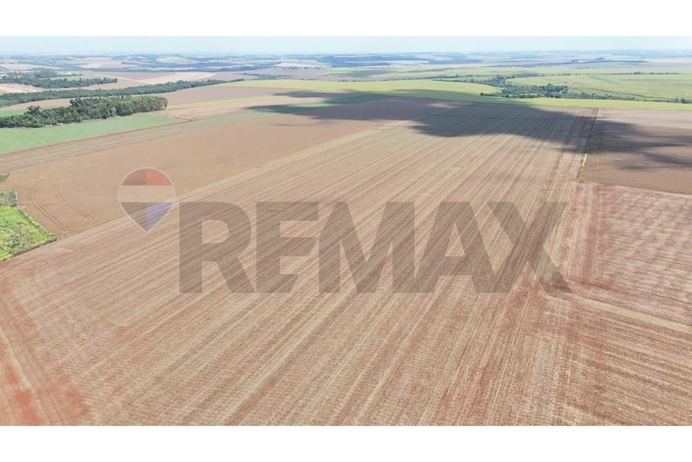 "Estancia única en Santa Rita - Inversión Agraria" — foto 2