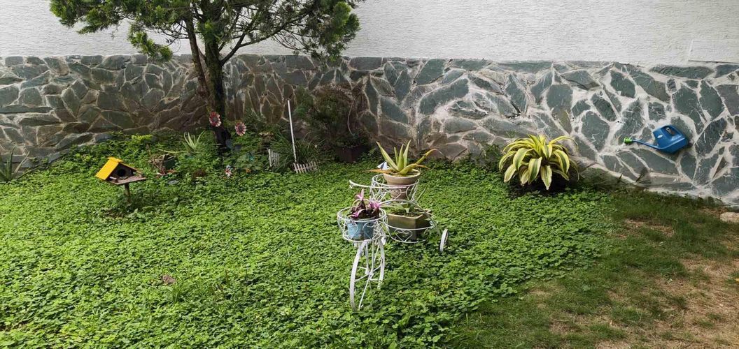 Casa de 3 alcobas en venta en Sector Bavaria, Armenia, 525 m² · foto 8 de 24