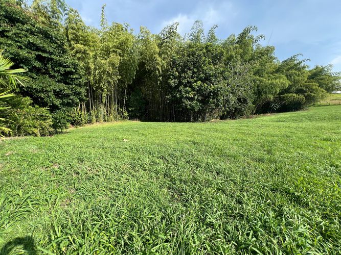 Lote en venta en Cerritos, Pereira, 1900 m² · foto 9 de 14