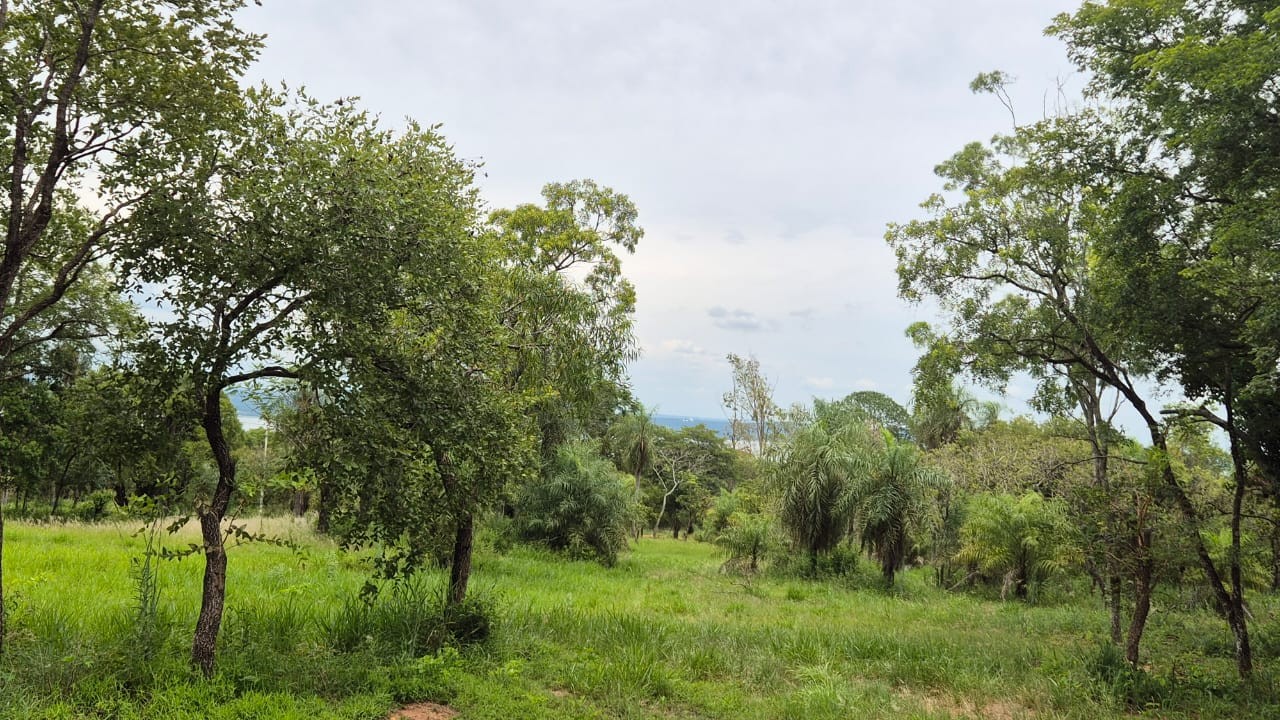 Oportunidad Única: Terreno Residencial en San Bernardino, Listo para Desarrollar ? — foto 2