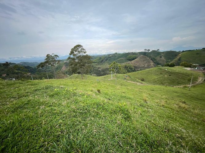 Finca en venta en Arabia, Pereira, 600 m² · foto 5 de 18