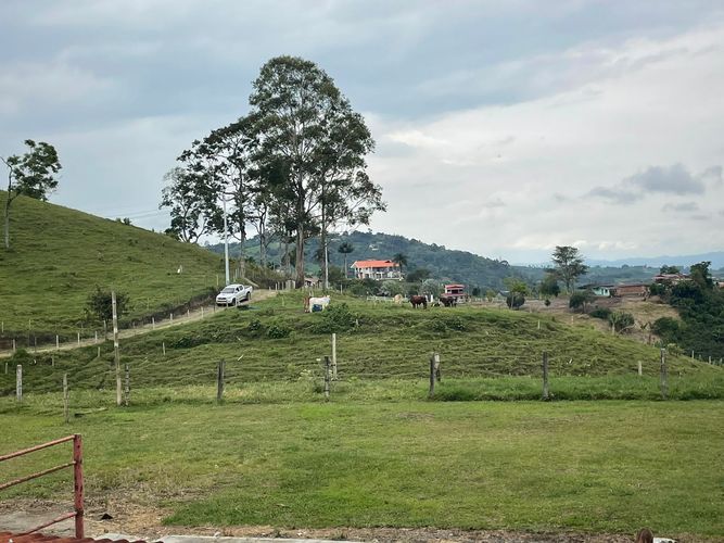 Finca en venta en Arabia, Pereira, 600 m² · foto 8 de 18