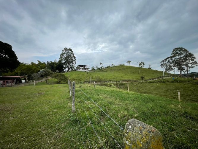 Finca en venta en Arabia, Pereira, 600 m² · foto 13 de 18