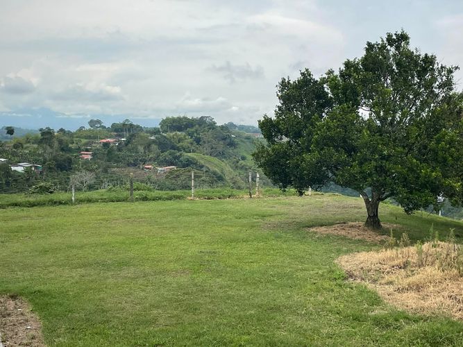 Finca en venta en Arabia, Pereira, 600 m² · foto 9 de 18