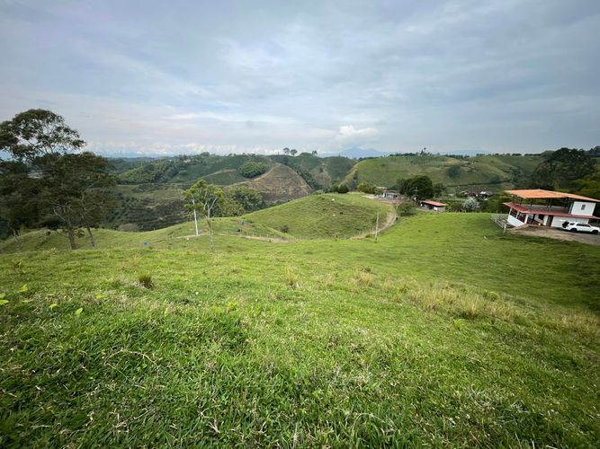 Finca en venta en Arabia, Pereira, 600 m² · foto 4 de 18