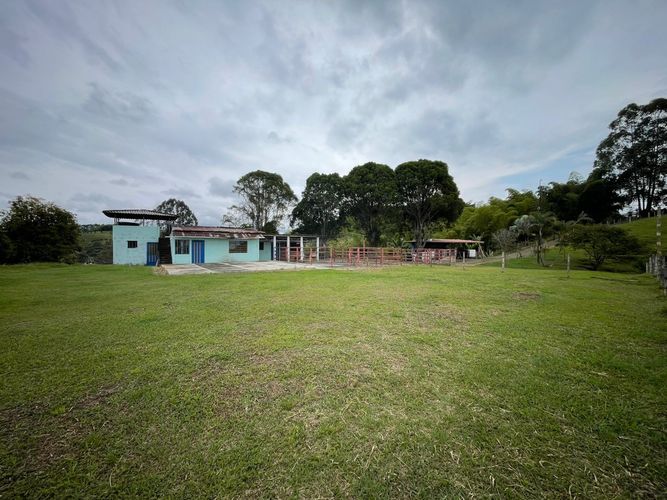 Finca en venta en Arabia, Pereira, 600 m² · foto 11 de 18