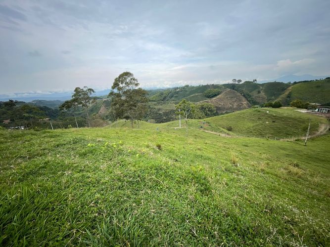 Finca en venta en Arabia, Pereira, 600 m² · foto 6 de 18