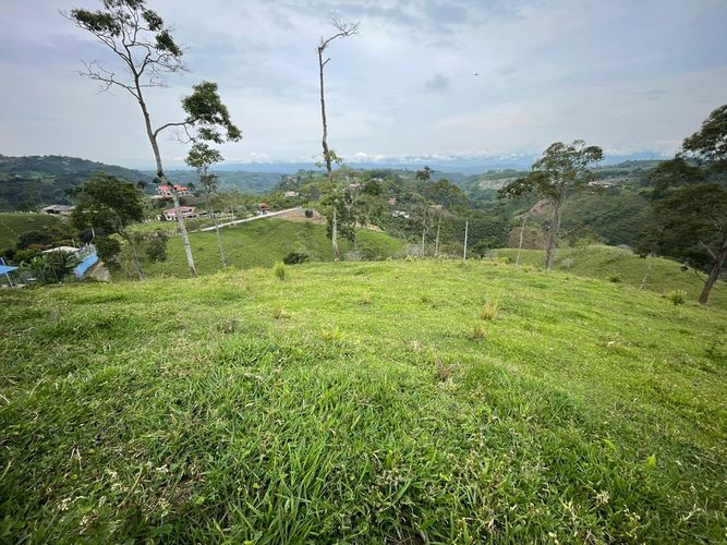 Finca en venta en Arabia, Pereira, 600 m² · foto 10 de 18
