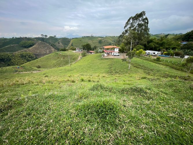 Finca en venta en Arabia, Pereira, 600 m² · foto 12 de 18