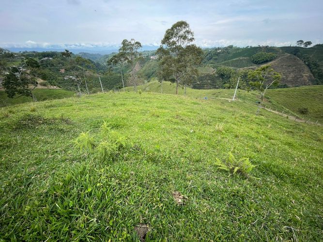 Finca en venta en Arabia, Pereira, 600 m² · foto 15 de 18