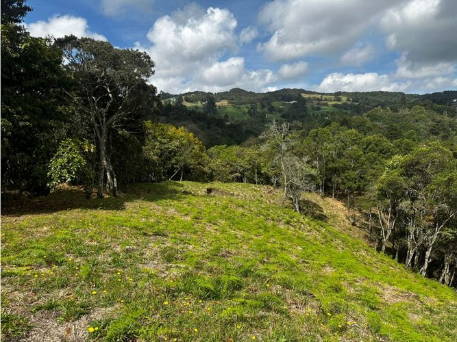 Lote en venta en Pantanillo, Envigado, 11464 m² · foto 6 de 9
