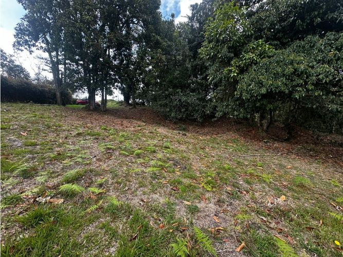 Lote en venta en Pantanillo, Envigado, 11464 m² · foto 7 de 9