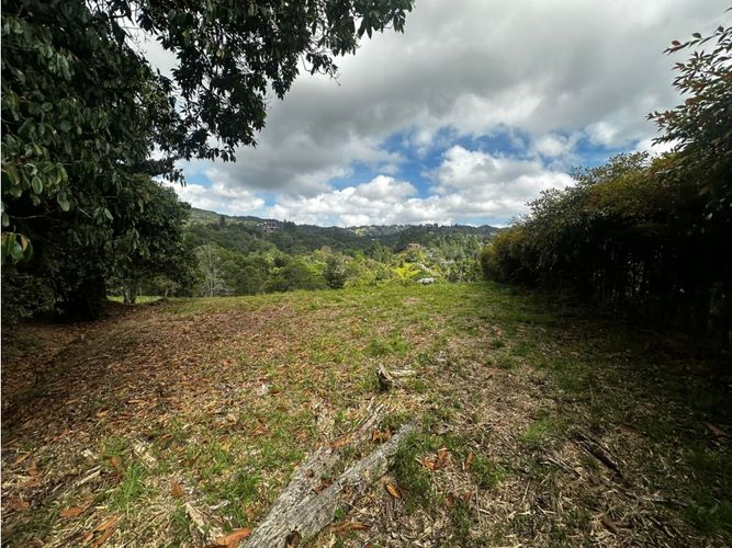 Lote en venta en Pantanillo, Envigado, 11464 m² · foto 8 de 9
