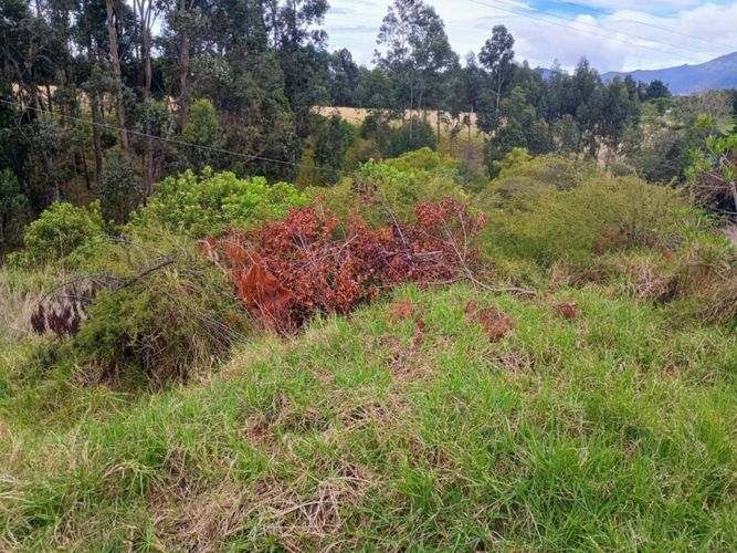Lote en venta en Campo Entrenamiento - Ejercito, Pasto, 2700 m² · foto 2 de 2