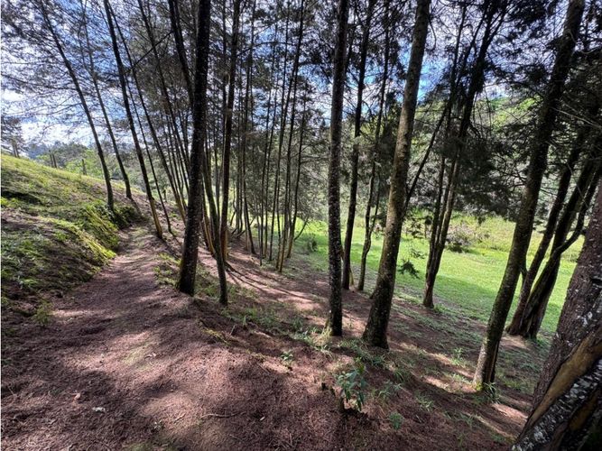 Casa de 3 alcobas en venta en Mampuesto, Rionegro, 230 m² · foto 10 de 11