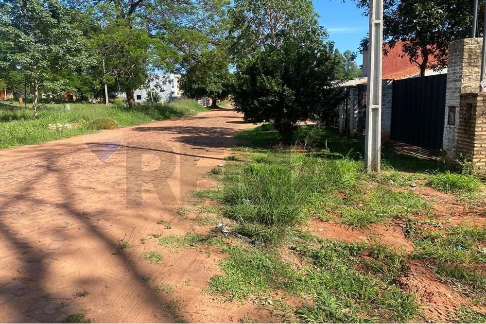 VENDO HERMOSO TERRENO EN VILLA ELISA — foto 3