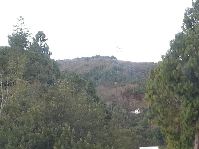 Finca en venta en Canavita, Tocancipá, 18000 m² · foto 6 de 24