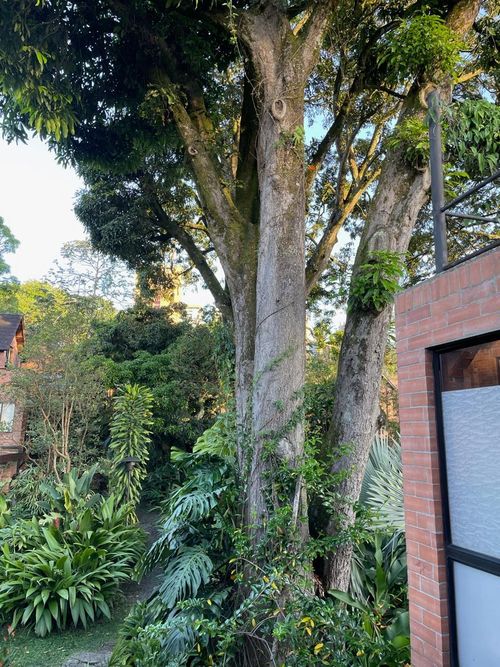 Casa de 3 alcobas en venta en La Sebastiana, Envigado, 220 m² · foto 23 de 24