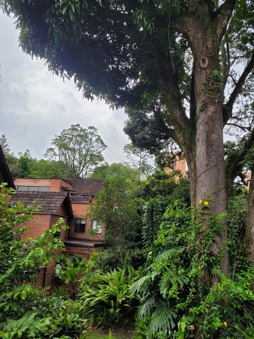 Casa de 3 alcobas en venta en La Sebastiana, Envigado, 220 m² · foto 24 de 24