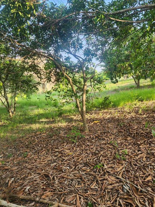 Lote en venta en Ricaurte, Ricaurte, 1348 m² · foto 9 de 10